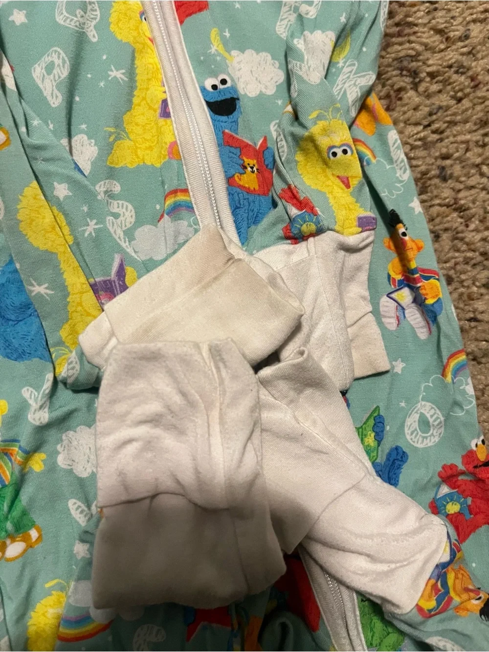 Little sleepies sesame street zippy